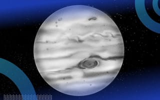 The planet Jupiter.